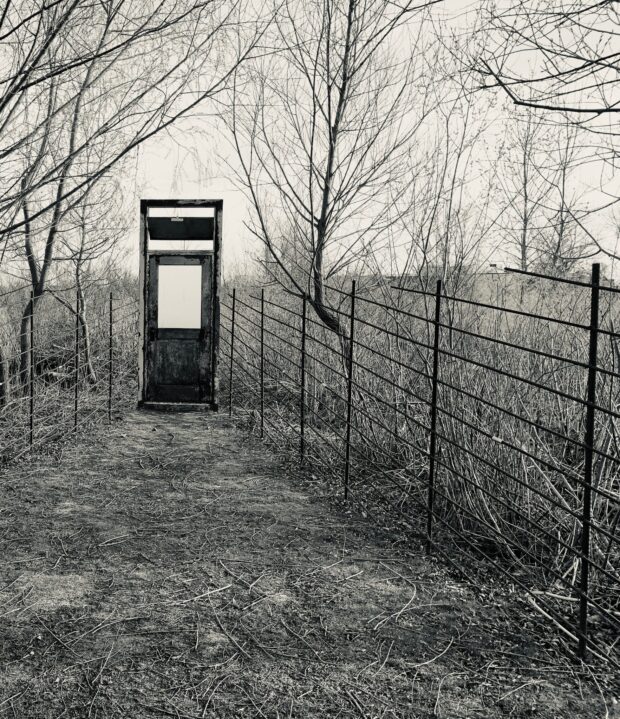 WhatsApp Image 2026-02-16 at 19.10.17